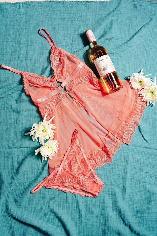 Female Sex Toys Mentionables VWaist Bikini Panty Coral Female Sex Toys Mentionables VWaist Bikini Panty Coral
