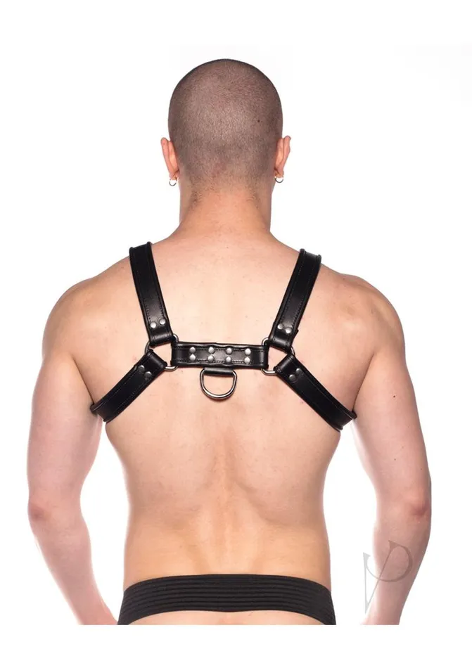 Anal Prowler Red Prowler RED Bull Harness XXLarge Black Anal Prowler Red Prowler RED Bull Harness XXLarge Black