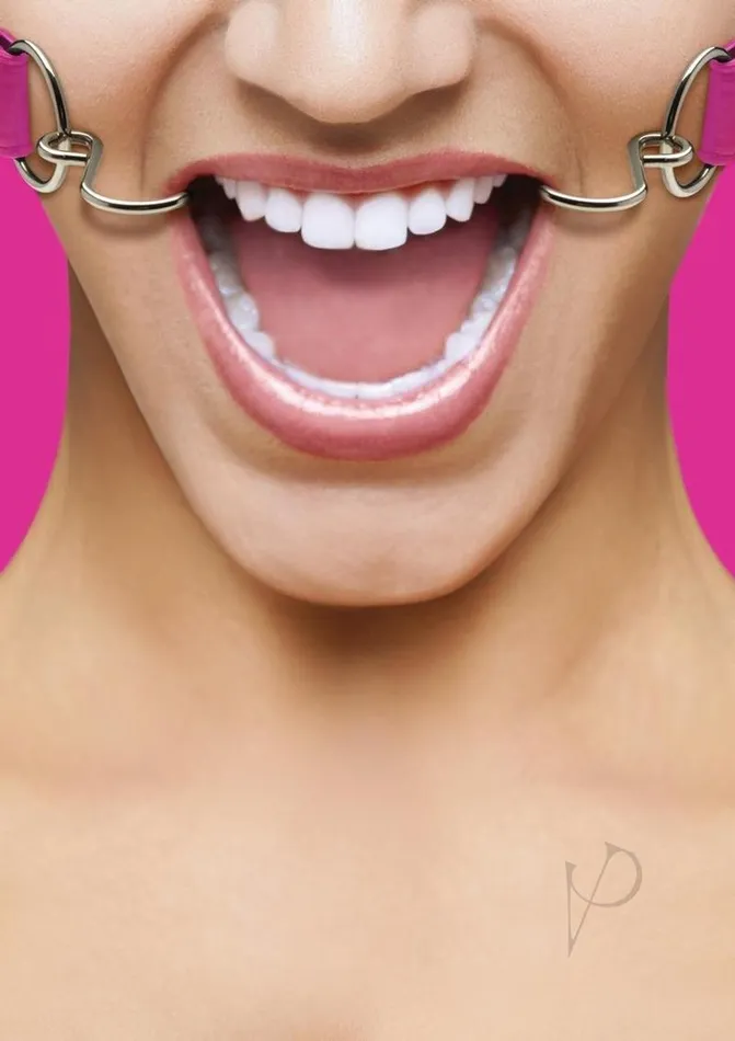 Vibrators Ouch Hook Gag Pink Ouch Vibrators Ouch Hook Gag Pink Ouch