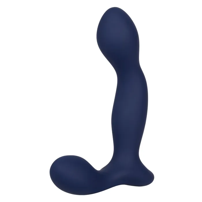 Anal CalExotics Viceroy Expert Probe