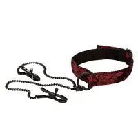CalExotics Anal Scandal Submissive Kit Red CalExotics Anal Scandal Submissive Kit Red