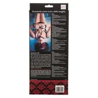 CalExotics Anal Scandal Submissive Kit Red CalExotics Anal Scandal Submissive Kit Red