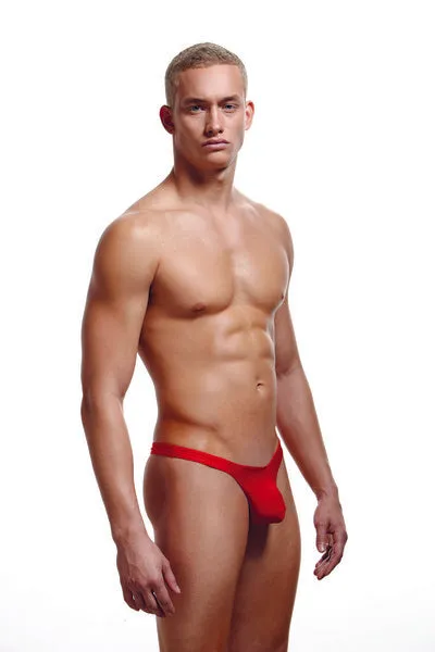 Vibrators Baci Envy Lowrise Thong E034 LXL Red