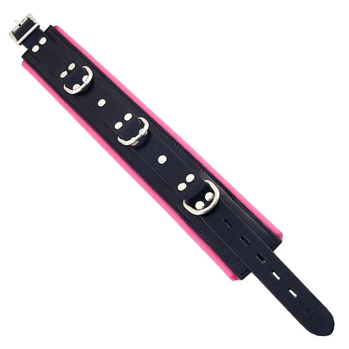 Vibrators Rouge Garments Rouge Garments Black And Pink Padded Collar