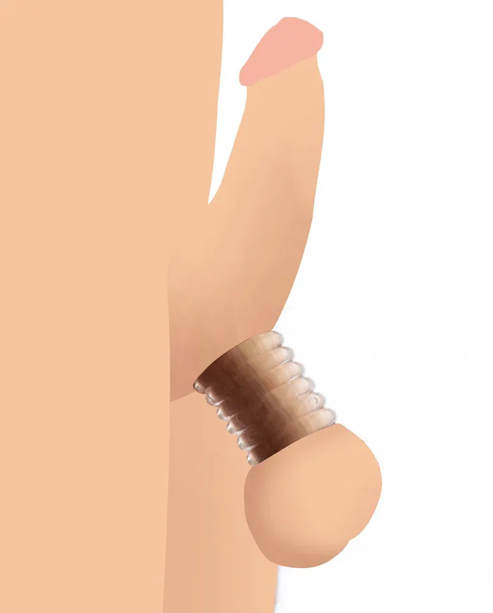 XR Brands Master Series Ms Ring Master Custom Ball Stretching Kit 6 Ring Pack Male Sex Toys XR Brands Master Series Ms Ring Master Custom Ball Stretching Kit 6 Ring Pack Male Sex Toys