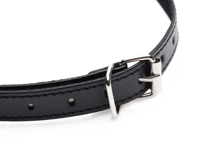 XR Brands Anal Padded Blindfold and Gag Set