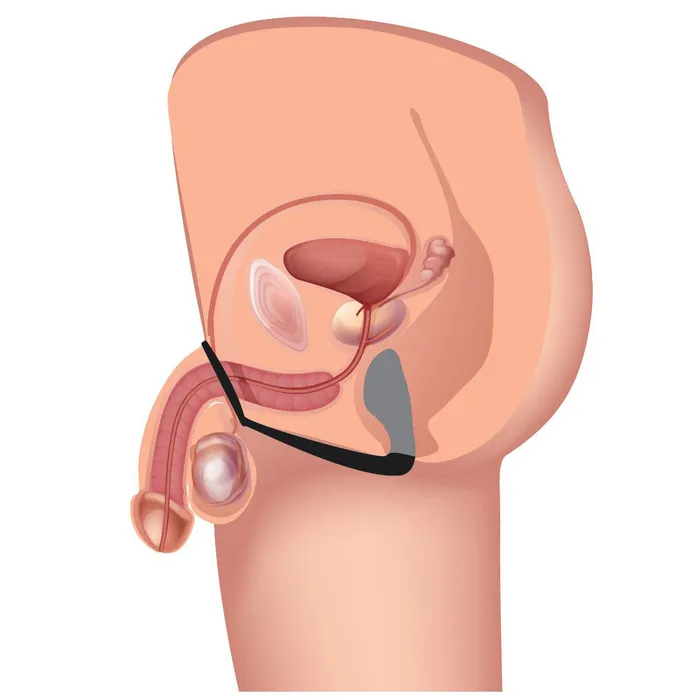 XR Brands Explorer II Prostate Stimulator and Cock Ring Male Sex Toys
